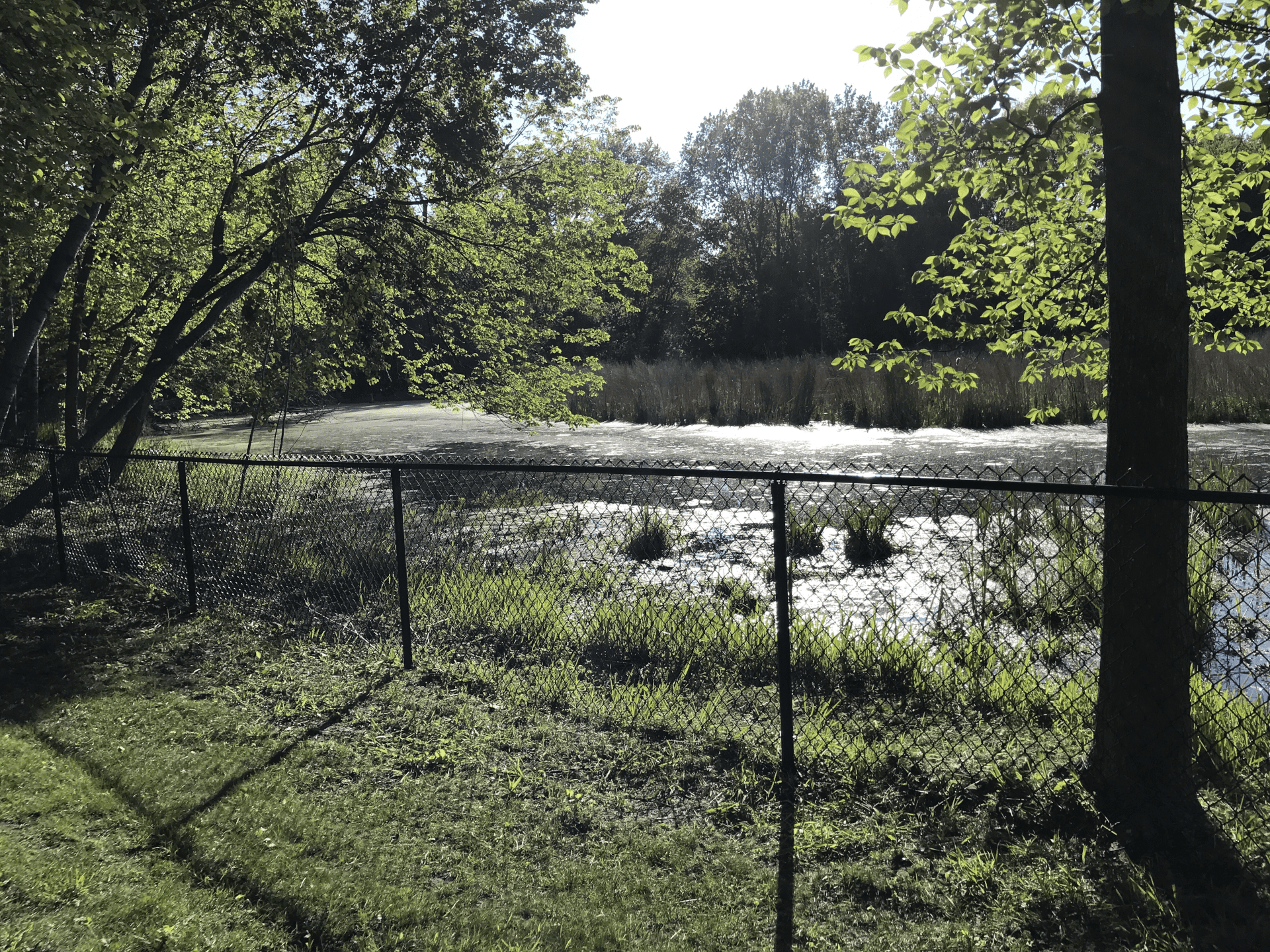 black chain link fence around pond