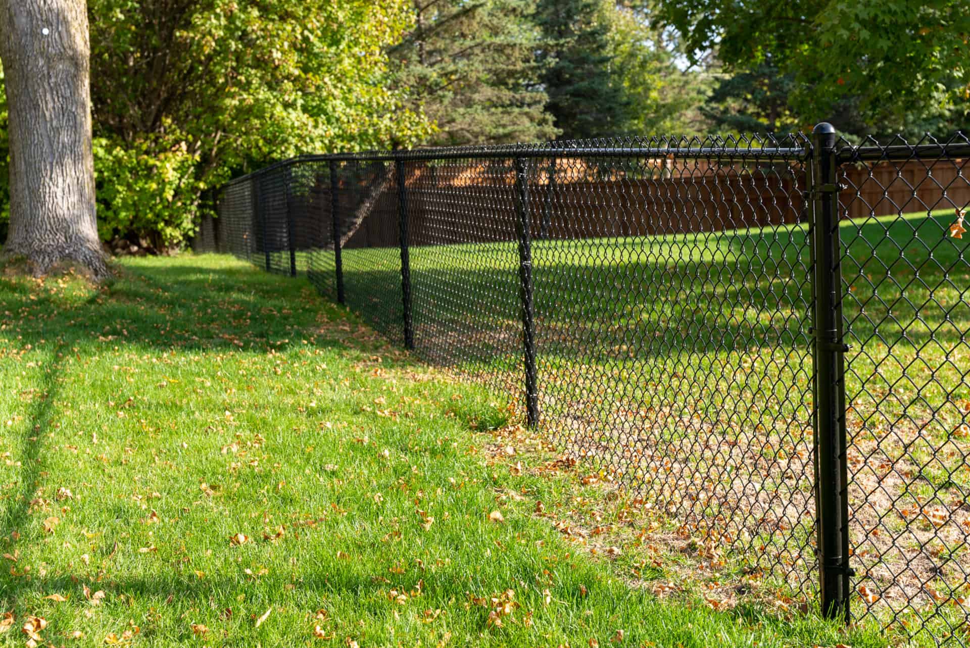 chain link fencing by northland