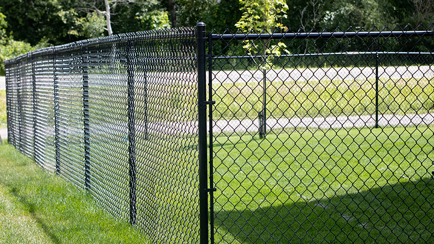 Chain-link fence cleaning